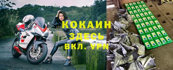 mix Инта