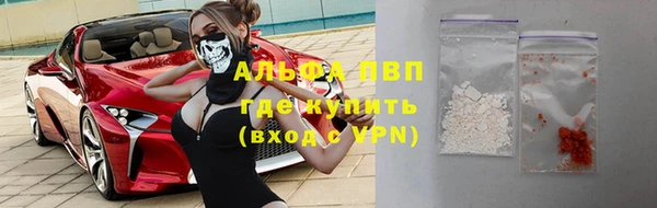 гашик Зеленокумск