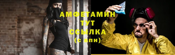 гашик Зеленокумск