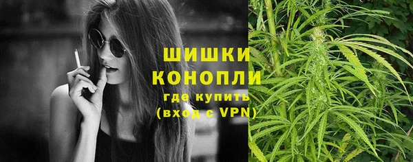 гашик Зеленокумск